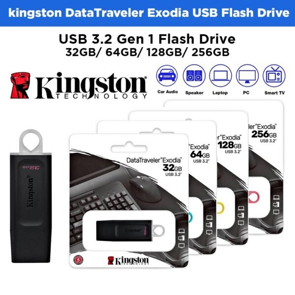 KingSton USB Data Memory Card