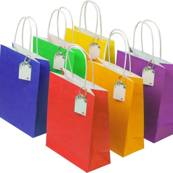Party Bags Different Color