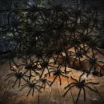 obqo 100 pieces black Halloween plastic spiders for spooky party decorations and realistic scary prank displays